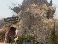 -大槐树寻根祭祖园