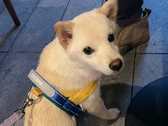 -春家·非遗手工小吃(徐汇万科广场店)