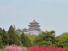 -莲花池公园