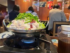 博多牛肠火锅-九州酒场ひこぞう(1号店)
