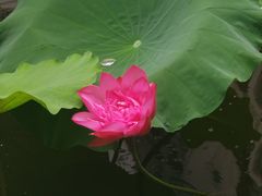 -番禺宾馆丽苑厅