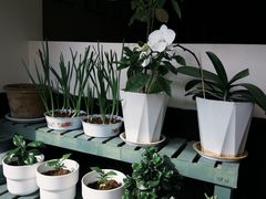 -72 COFFEE(东朝阳路店)