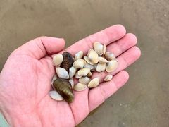 -银滩滨海旅游度假区