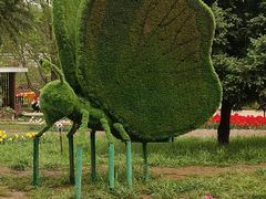 -石家庄市植物园