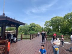 -苏州太湖国家湿地公园