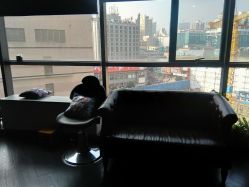 -刺客纹画纹身·洗纹身·穿孔饰品