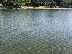 -荔湾湖公园