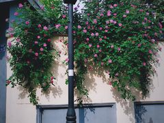 -颐和路民国时期公馆-风貌区