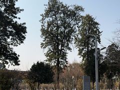 -四川大学(望江校区)