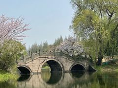 -上海共青森林公园