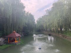 -同里湖度假村(二期店)