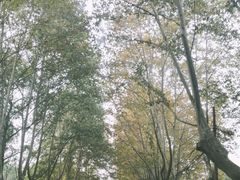 -浙江大学(玉泉校区)