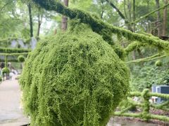 -石燕湖生态旅游景区