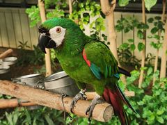 -南宫五洲植物乐园