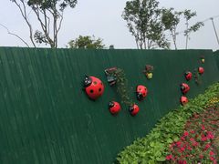 -菊园百果园