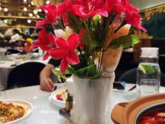 -雀蓝川菜(奥体广场店)