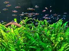 -上海海洋水族馆