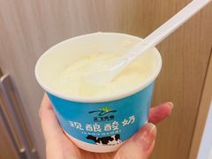 现酿无糖酸奶-正飞鲜奶(北门店)