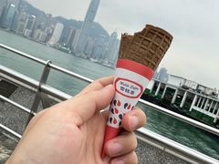 -富豪雪糕车流动点(尖沙咀)