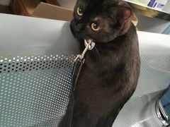 -北京赛佳动物医院