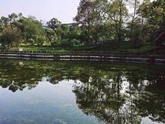 -紫颐香薰山谷景区