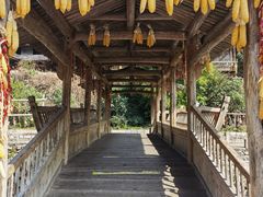 -林坑古村落