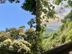 -梧桐山风景名胜区