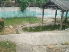 -无锡动物园·太湖欢乐园