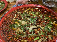 -东吴霸王兔(松青路店)