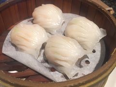 -老广酒楼(樱花店)
