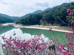 -世间香境·七溪地