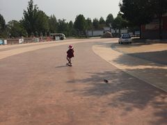 -武清南湖绿博园