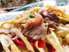 -龙翔山庄雷鸡肉(青城后山泰安古镇店)