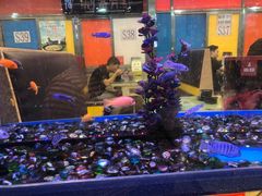 -新辉港式茶餐厅(北栅店)