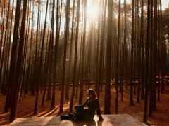 -山王坪喀斯特国家生态公园