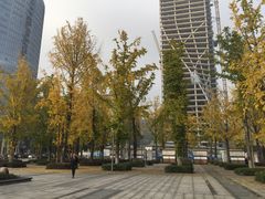 -百林公园-两江幸福广场