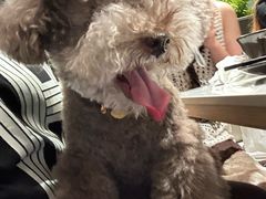 -芸山季·云南山珍菌火锅(南翔印象城MEGA店)