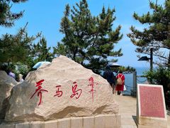 -养马岛旅游度假区