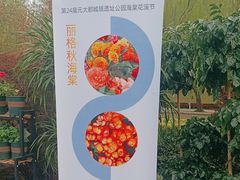 -元大都城垣遗址公园