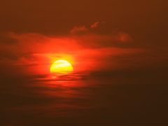 -吴淞炮台湾湿地森林公园烧烤区