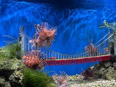 -太平洋海底世界