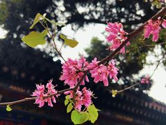 -西安市广仁寺