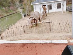 -上海长兴岛郊野公园