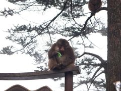 -峨眉山风景名胜区