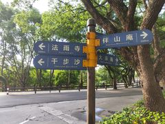 -普陀山雷迪森庄园