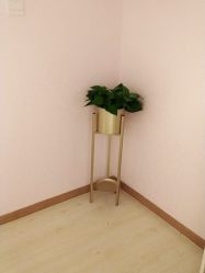 -薇兰专业脱毛连锁机构