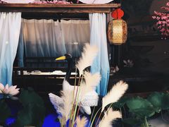-韵秋荷(宝山龙湖天街店)