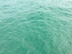 -海港城
