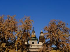 -北京石刻艺术博物馆(五塔寺)