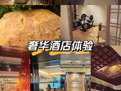 -广州花园酒店